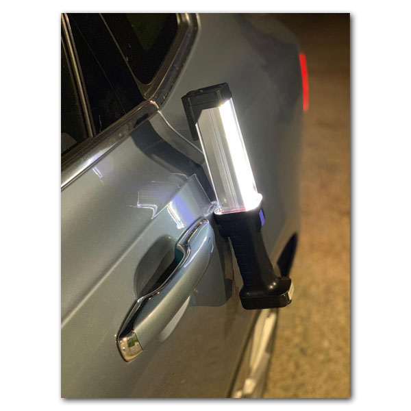 1696-Sunshine3-600x600